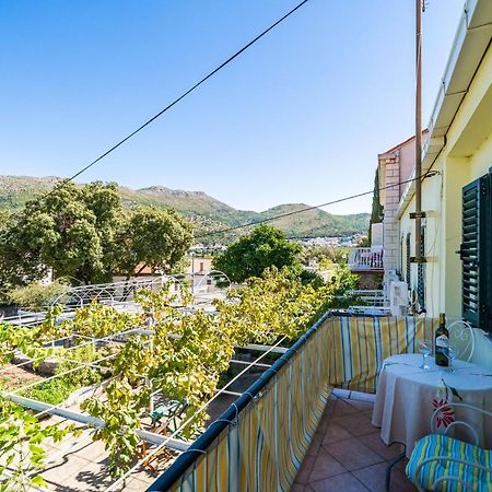 Apartments Lidija Zaton  Exterior photo