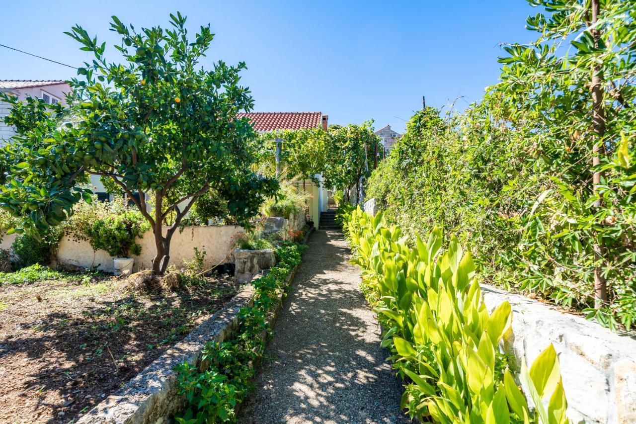 Apartments Lidija Zaton  Exterior photo